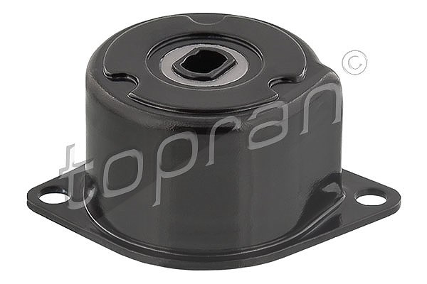 Topran Riemenspanner, Keilrippenriemen [Hersteller-Nr. 109800] für VW