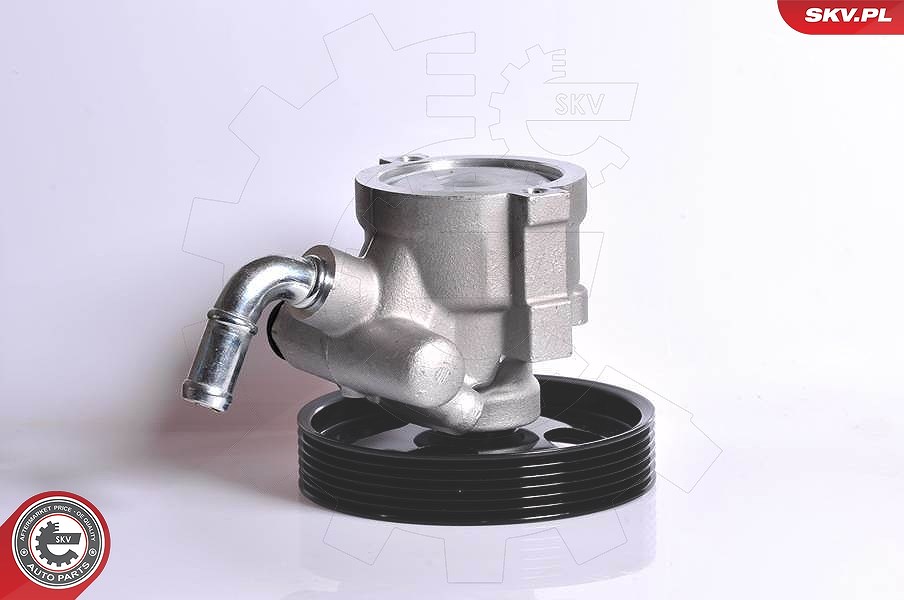 Esen Skv Hydraulikpumpe, Lenkung [Hersteller-Nr. 10SKV163] für Citroën, Peugeot