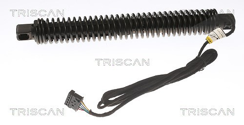 Triscan Gasfeder, Koffer-/Laderaum [Hersteller-Nr. 871011309] für BMW