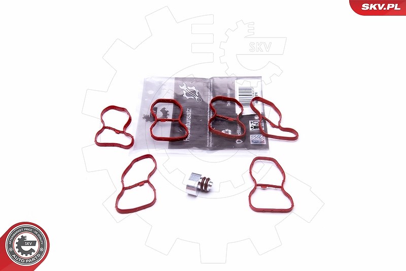 Esen Skv Reparatursatz, Saugrohrmodul [Hersteller-Nr. 49SKV516] für BMW