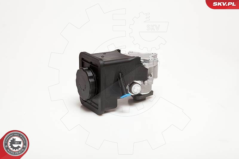 Esen Skv Hydraulikpumpe, Lenkung [Hersteller-Nr. 10SKV012] für BMW