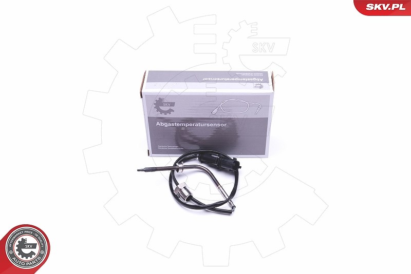 Esen Skv Sensor, Abgastemperatur [Hersteller-Nr. 30SKV293] für Fiat