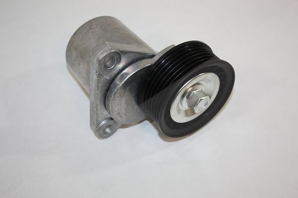 Automega Spannarm, Keilrippenriemen [Hersteller-Nr. 160025310] für Ford, Volvo