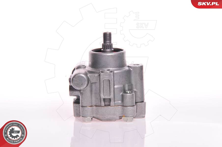 Esen Skv Hydraulikpumpe, Lenkung [Hersteller-Nr. 10SKV132] für Mazda