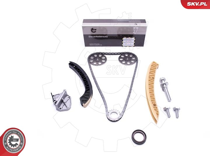 Esen Skv Steuerkettensatz [Hersteller-Nr. 21SKV177] für Skoda, Seat, VW