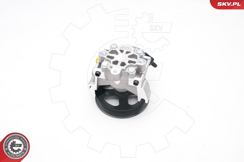 Esen Skv Hydraulikpumpe, Lenkung [Hersteller-Nr. 10SKV188] für Ford