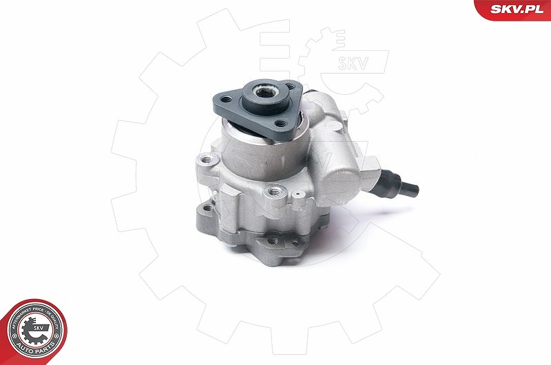 Esen Skv Hydraulikpumpe, Lenkung [Hersteller-Nr. 10SKV233] für Seat, Audi