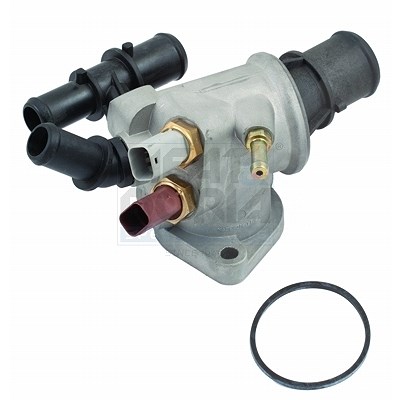 Meat & Doria Thermostat, Kühlmittel [Hersteller-Nr. 92418] für Fiat