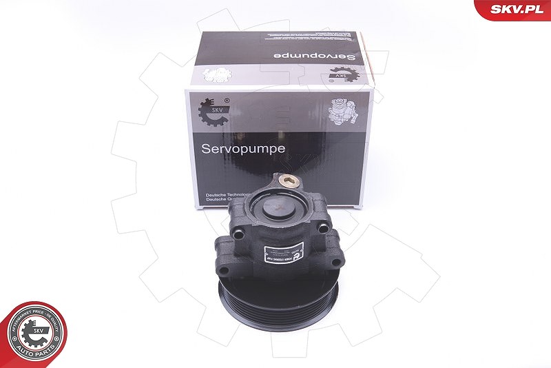 Esen Skv Hydraulikpumpe, Lenkung [Hersteller-Nr. 10SKV101] für Ford