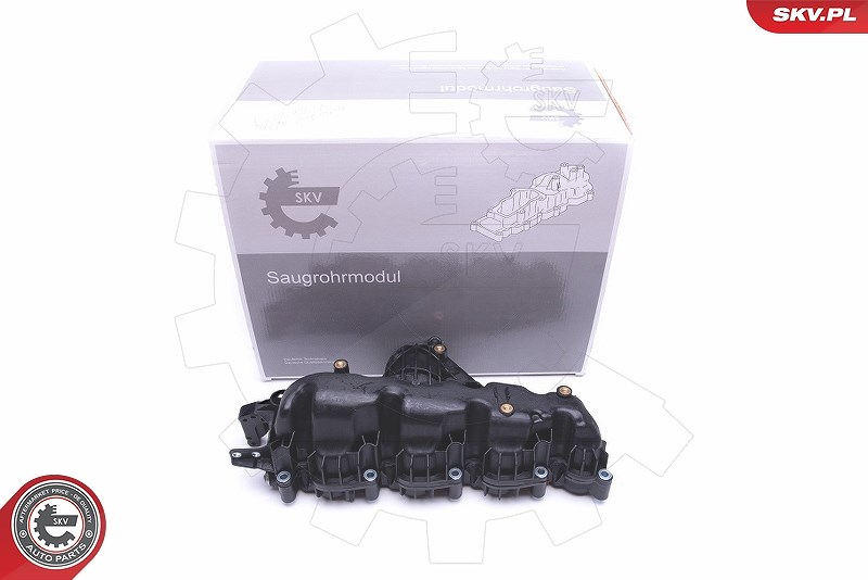 Esen Skv Saugrohrmodul [Hersteller-Nr. 49SKV007] für VW, Seat, Skoda, Audi