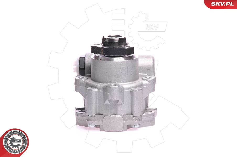 Esen Skv Hydraulikpumpe, Lenkung [Hersteller-Nr. 10SKV121] für VW