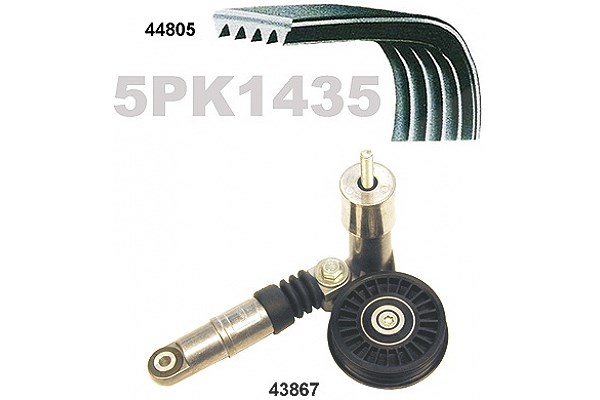 Mapco Keilrippenriemensatz [Hersteller-Nr. 73805] für Audi, Skoda, VW