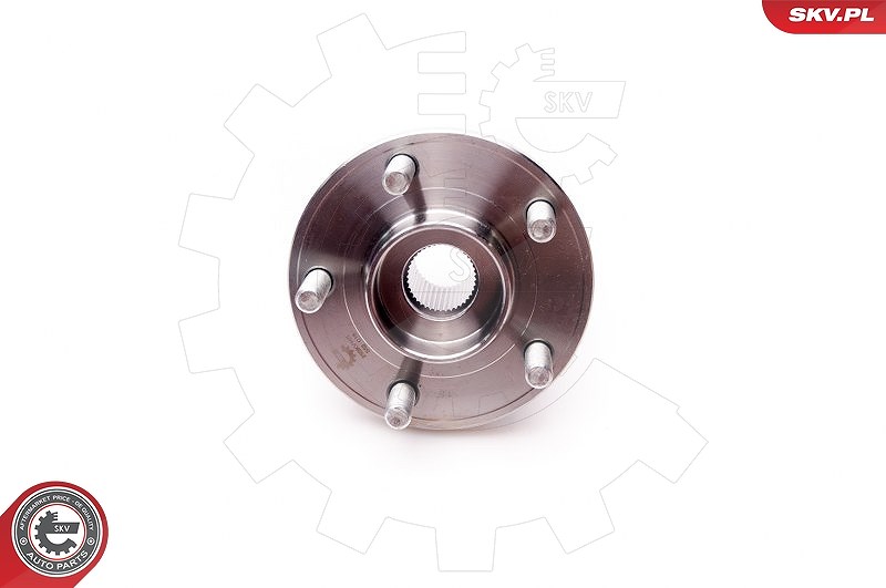 Esen Skv Radlagersatz [Hersteller-Nr. 29SKV165] für Ford