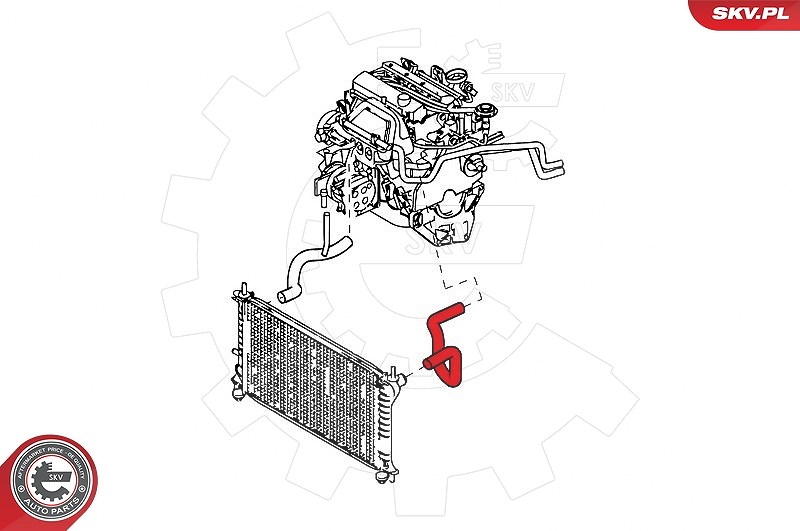 Esen Skv Kühlerschlauch [Hersteller-Nr. 24SKV342] für Ford
