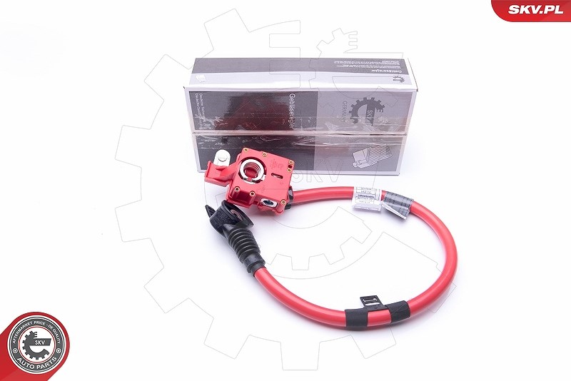 Esen Skv Batterieadapter [Hersteller-Nr. 96SKV306] für BMW