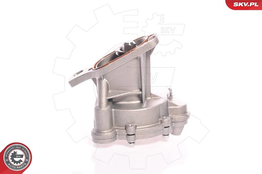 Esen Skv Unterdruckpumpe, Bremsanlage [Hersteller-Nr. 18SKV006] für VW