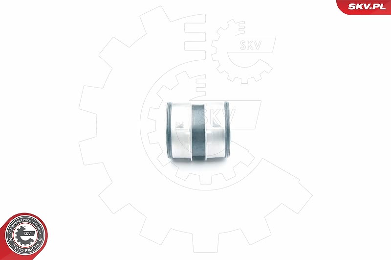 Esen Skv Ladeluftschlauch [Hersteller-Nr. 24SKV042] für VW, Seat, Audi, Skoda