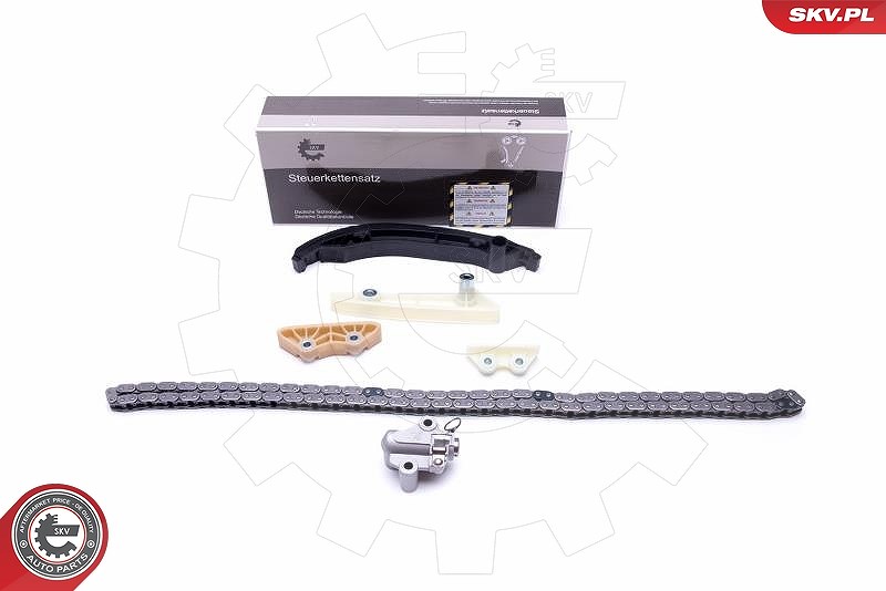 Esen Skv Steuerkettensatz [Hersteller-Nr. 21SKV124] für Ford, Land Rover