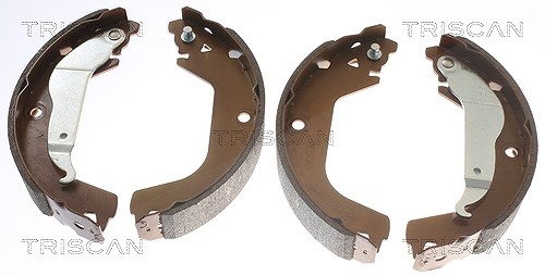 Triscan Bremsbackensatz [Hersteller-Nr. 810021002] für Chevrolet