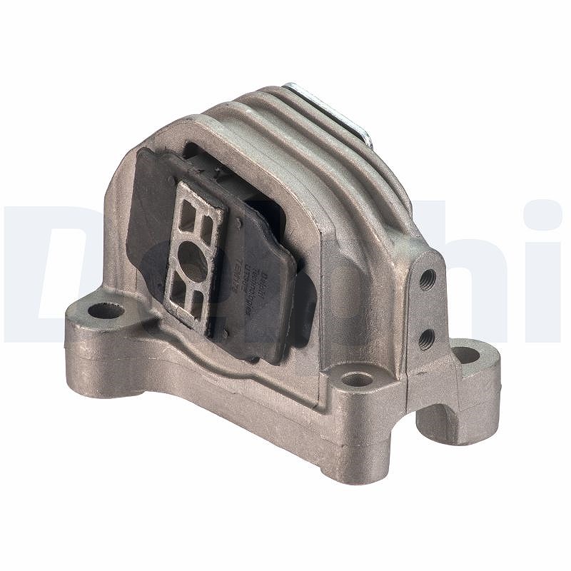 DELPHI Lagerung, Motor TEM178 hinten - Bild 6