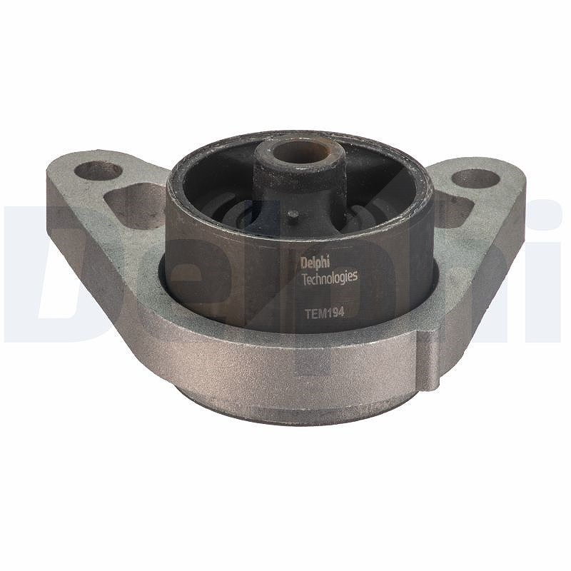 Für DELPHI TEM194 Mounting, manual transmission TEM194 Rear axle brackets front - Bild 10