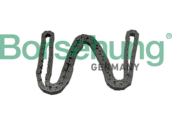 Borsehung Steuerkette [Hersteller-Nr. B17886] für VW, Seat, Audi, Skoda