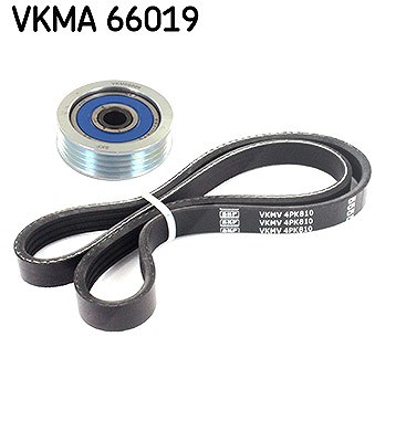Skf Keilrippenriemensatz [Hersteller-Nr. VKMA66019] für Suzuki - Bild 4