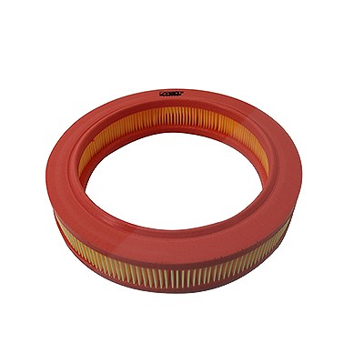 Meat & Doria Luftfilter [Hersteller-Nr. 16264] für Ford