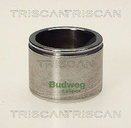 Triscan Kolben, Bremssattel [Hersteller-Nr. 8170233804] für Volvo