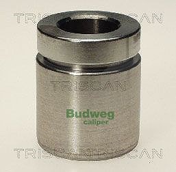 Triscan Kolben, Bremssattel [Hersteller-Nr. 8170234020] für BMW