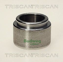 Triscan Kolben, Bremssattel [Hersteller-Nr. 8170234001] für VW