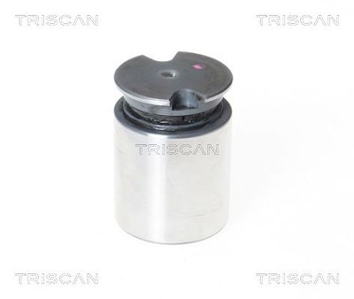 Triscan Kolben, Bremssattel [Hersteller-Nr. 8170233634] für Opel, Vauxhall, Fiat, Toyota, Citroën, Peugeot, Abarth