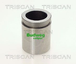 Triscan Kolben, Bremssattel [Hersteller-Nr. 8170233843] für Hyundai