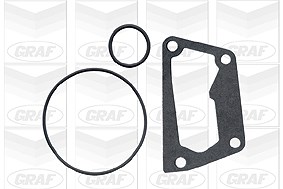 Graf Wasserpumpe, Motorkühlung [Hersteller-Nr. PA620] für Fiat, Lancia