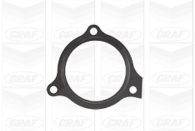 Graf Wasserpumpe, Motorkühlung [Hersteller-Nr. PA902] für Ford