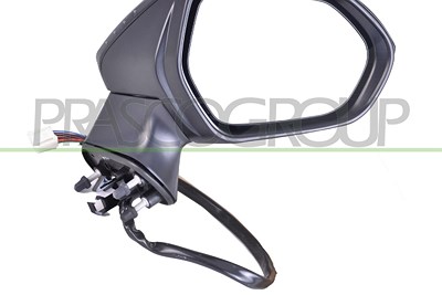 Prasco Außenspiegel [Hersteller-Nr. TY0967319] für Toyota