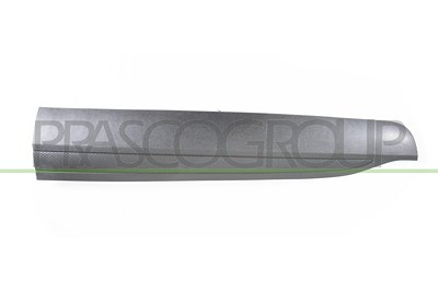 Prasco Zier-/Schutzleiste, Tür [Hersteller-Nr. FD8081403] für Ford