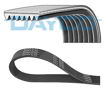Dayco Keilrippenriemen [Hersteller-Nr. 7PK1666] für BMW