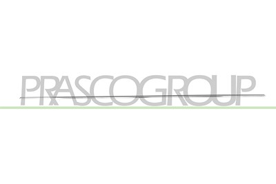 Prasco Zier-/Schutzleiste, Tür [Hersteller-Nr. ME0451404] für Mercedes-Benz