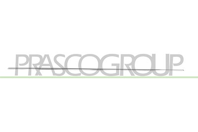 Prasco Zier-/Schutzleiste, Tür [Hersteller-Nr. ME0451403] für Mercedes-Benz