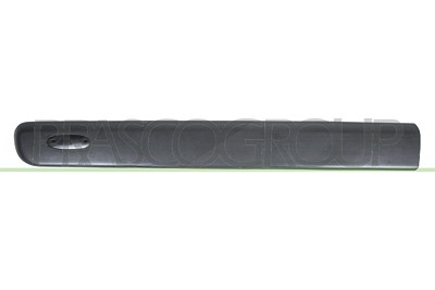 Prasco Zier-/Schutzleiste, Tür [Hersteller-Nr. RN9161404] für Renault