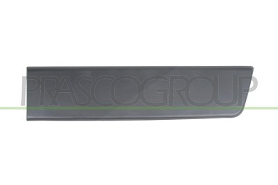 Prasco Zier-/Schutzleiste, Tür [Hersteller-Nr. FT9301456] für Fiat