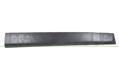 Prasco Zier-/Schutzleiste, Tür [Hersteller-Nr. DA7301404] für Dacia