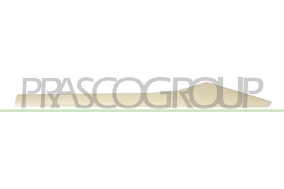 Prasco Zier-/Schutzleiste, Tür [Hersteller-Nr. RN7001464] für Renault
