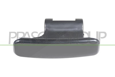 Prasco Türgriff [Hersteller-Nr. CI9158324] für Peugeot, Citroën