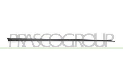 Prasco Zier-/Schutzleiste, Tür [Hersteller-Nr. RN7001403] für Renault