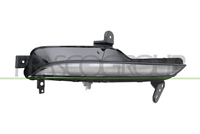 Prasco Blinkleuchte [Hersteller-Nr. RN4304013] für Renault