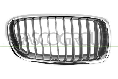 Prasco Kühlergitter [Hersteller-Nr. BM0282033] für BMW