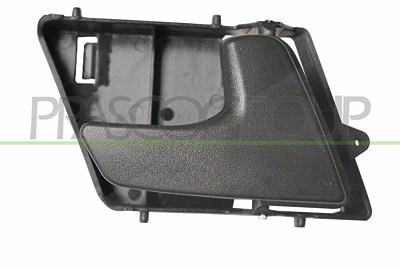 Prasco Türgriff [Hersteller-Nr. VG0178401] für Seat, VW