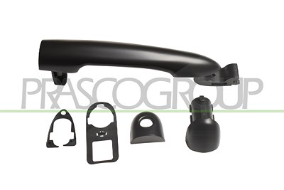 Prasco Türgriff [Hersteller-Nr. RN3258213] für Renault